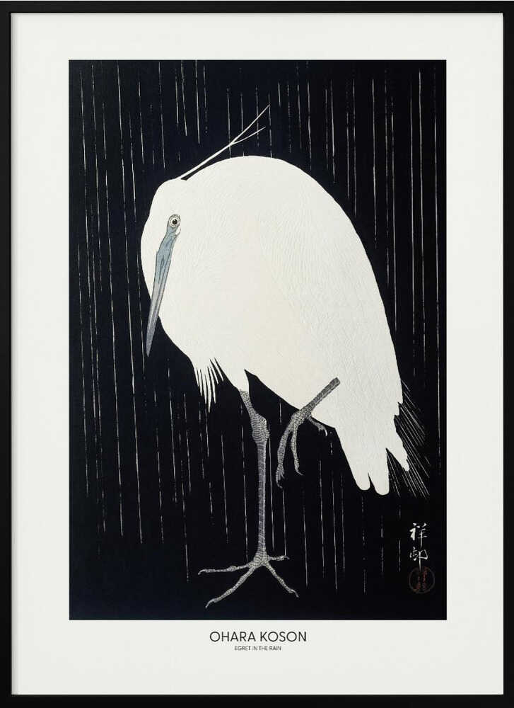 Egret In The Rain