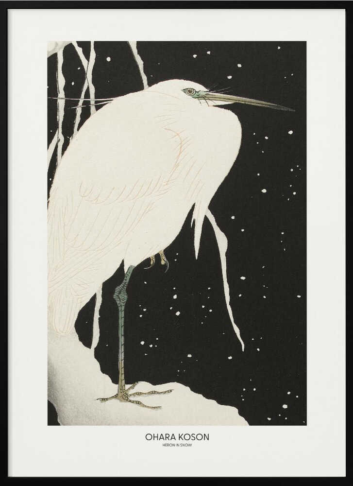 Heron In The Snow