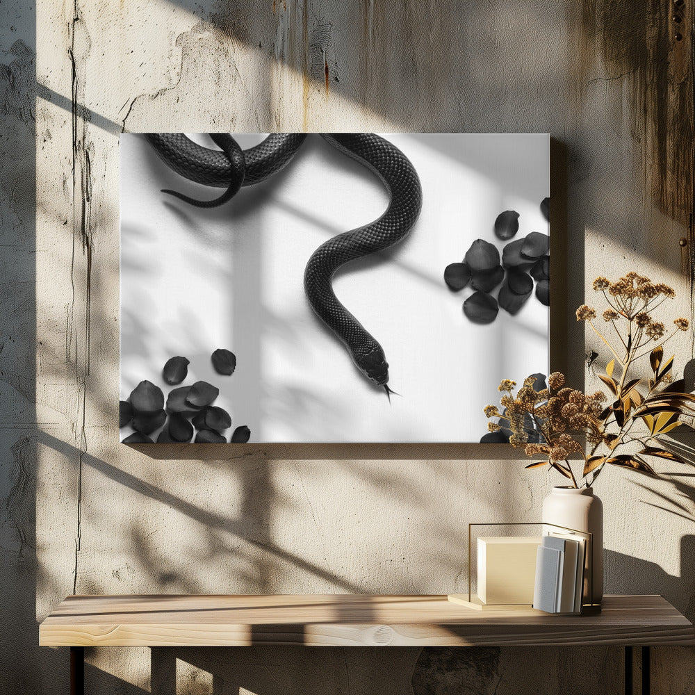 Black Snake Roam - plakatstore