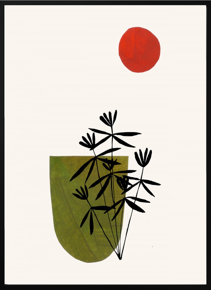 Green Plant Red Sun