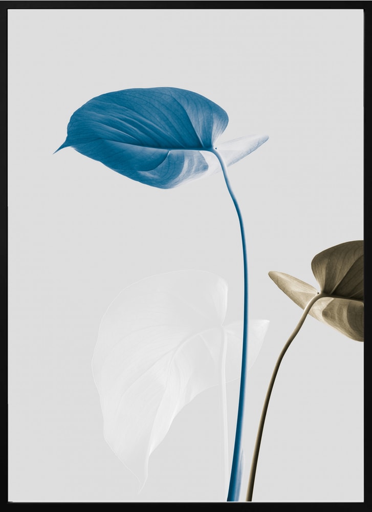 Serene Blue Leaves
