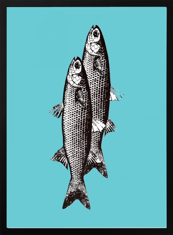 Vintage Fish Duo