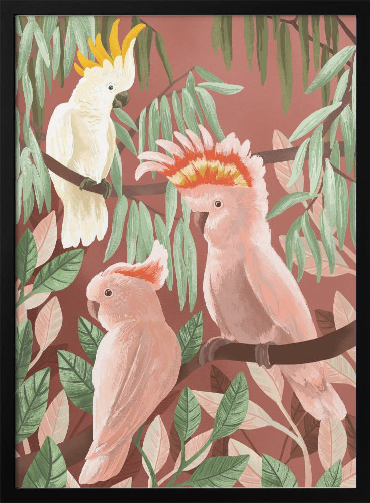 Cockatoos - plakatstore