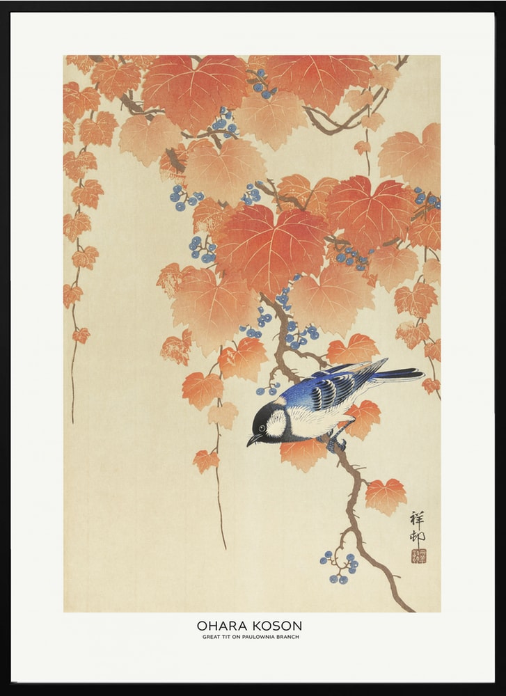 Great Tit On Paulownia Branch