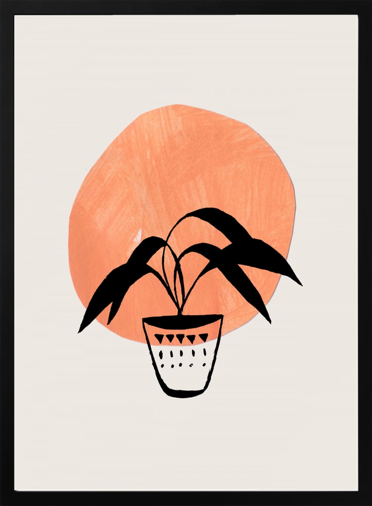 Boho Potted Plant