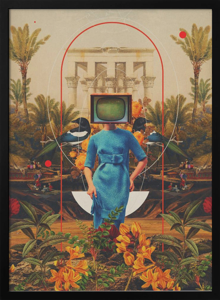 Her Asymmetries - plakatstore