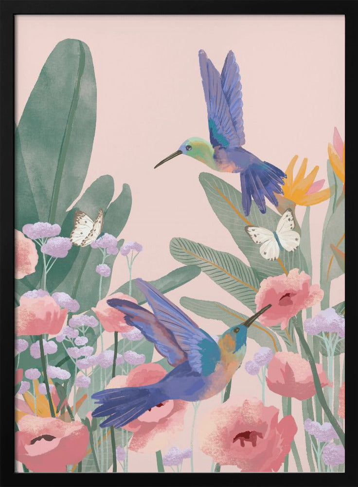 Hummingbirds - plakatstore