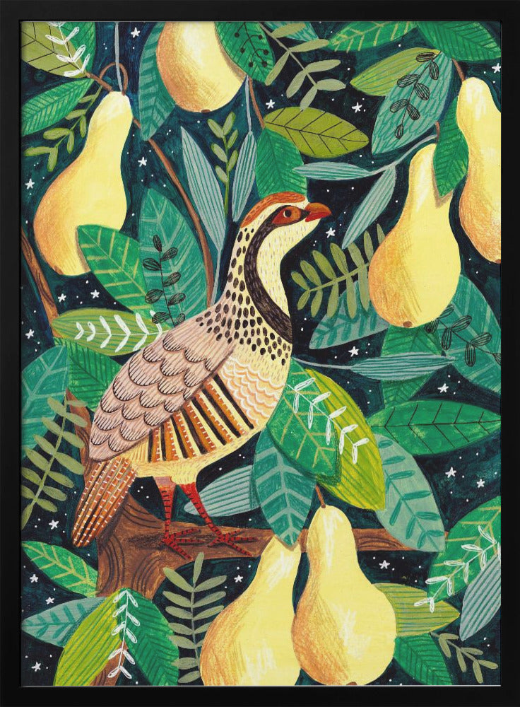 Partridge in a pear tree - plakatstore