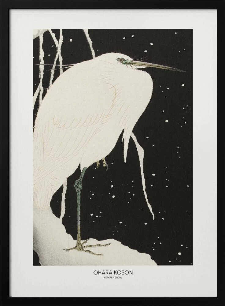 Heron In The Snow
