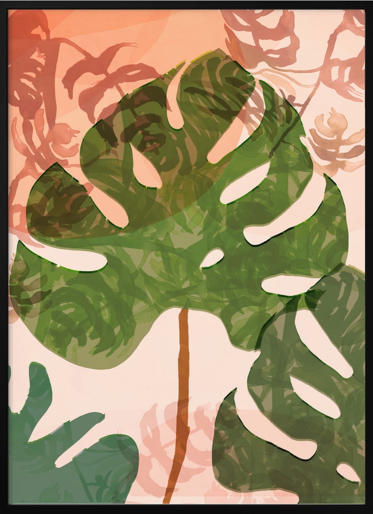 Tropical Monstera Leaves