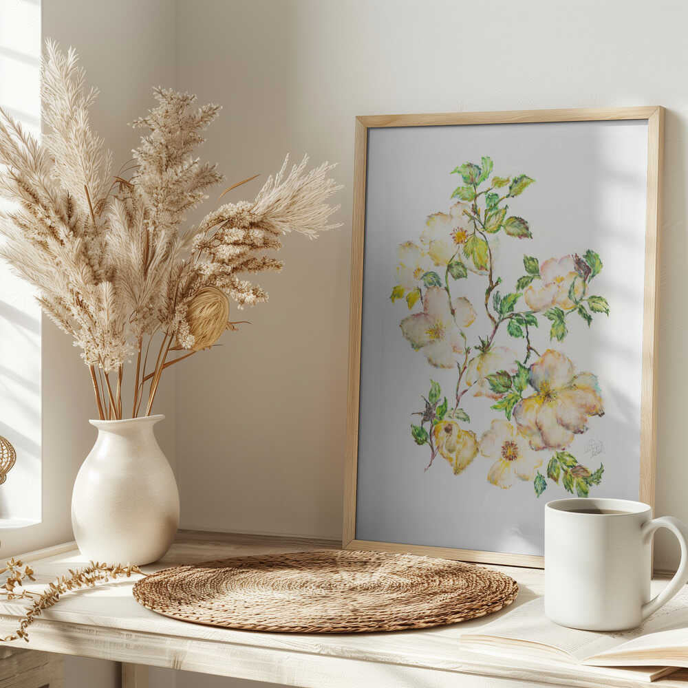 Soft White Rose Branches