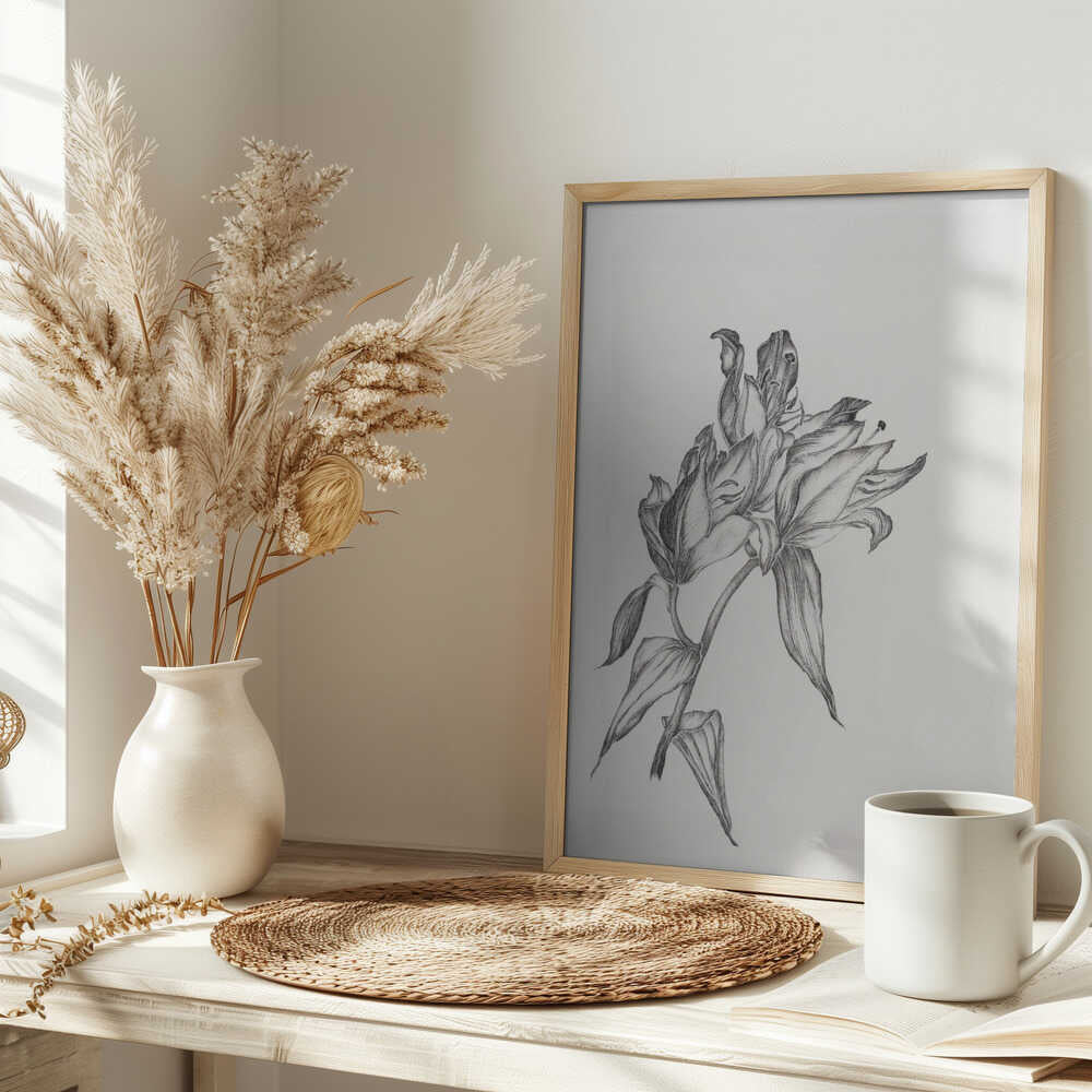 Elegant Lily Drawing