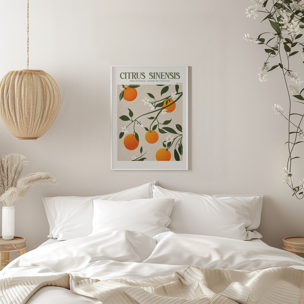 Citrus Sinensis Plakat - plakatstore