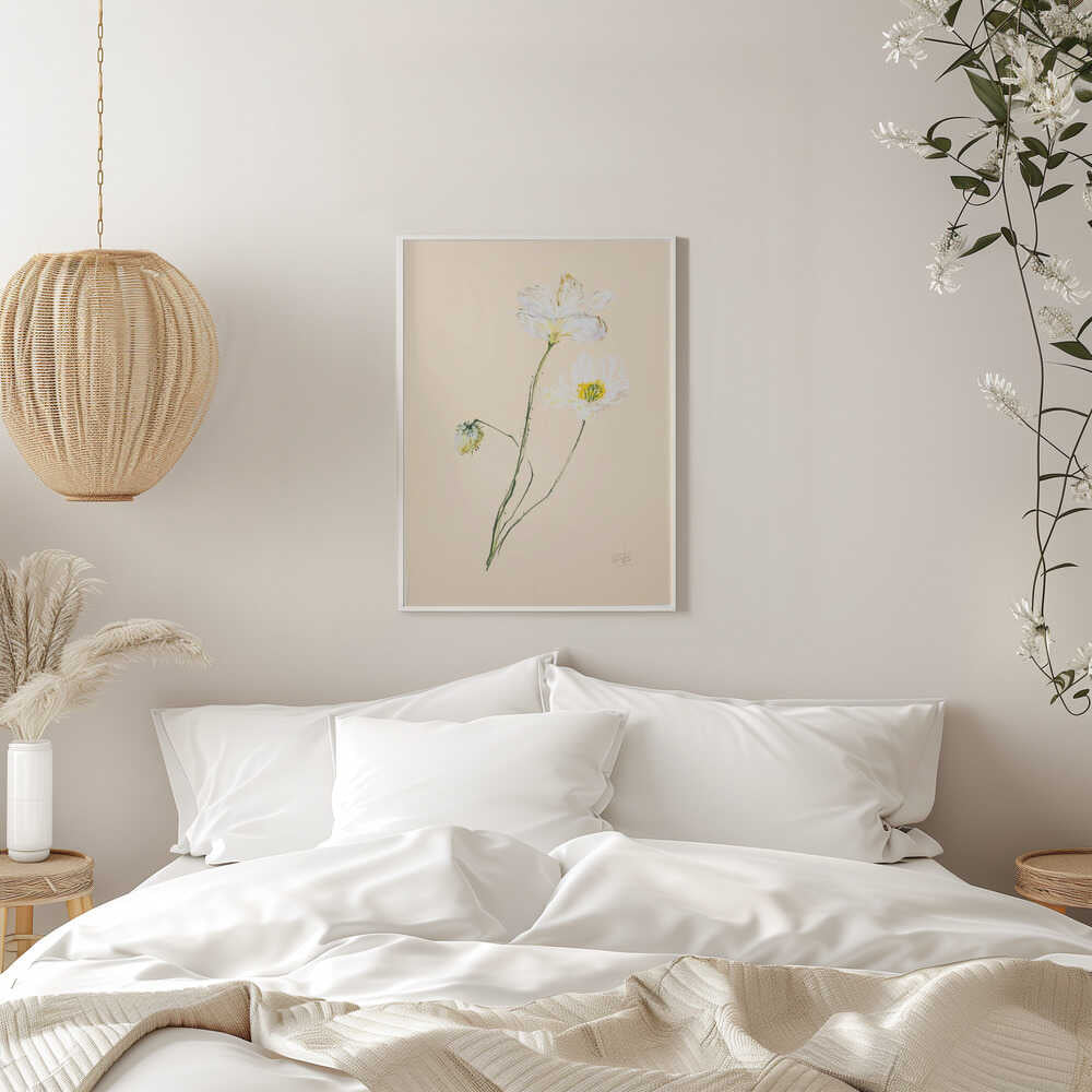 Delicate White Poppies
