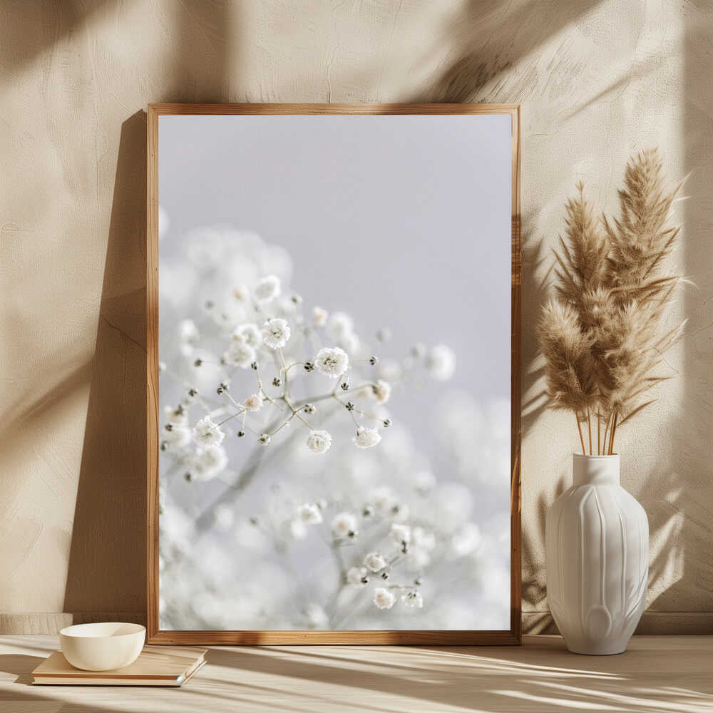 White Breath Flowers