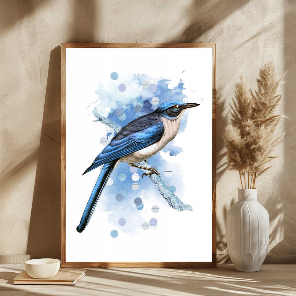 The Drawings of Birds