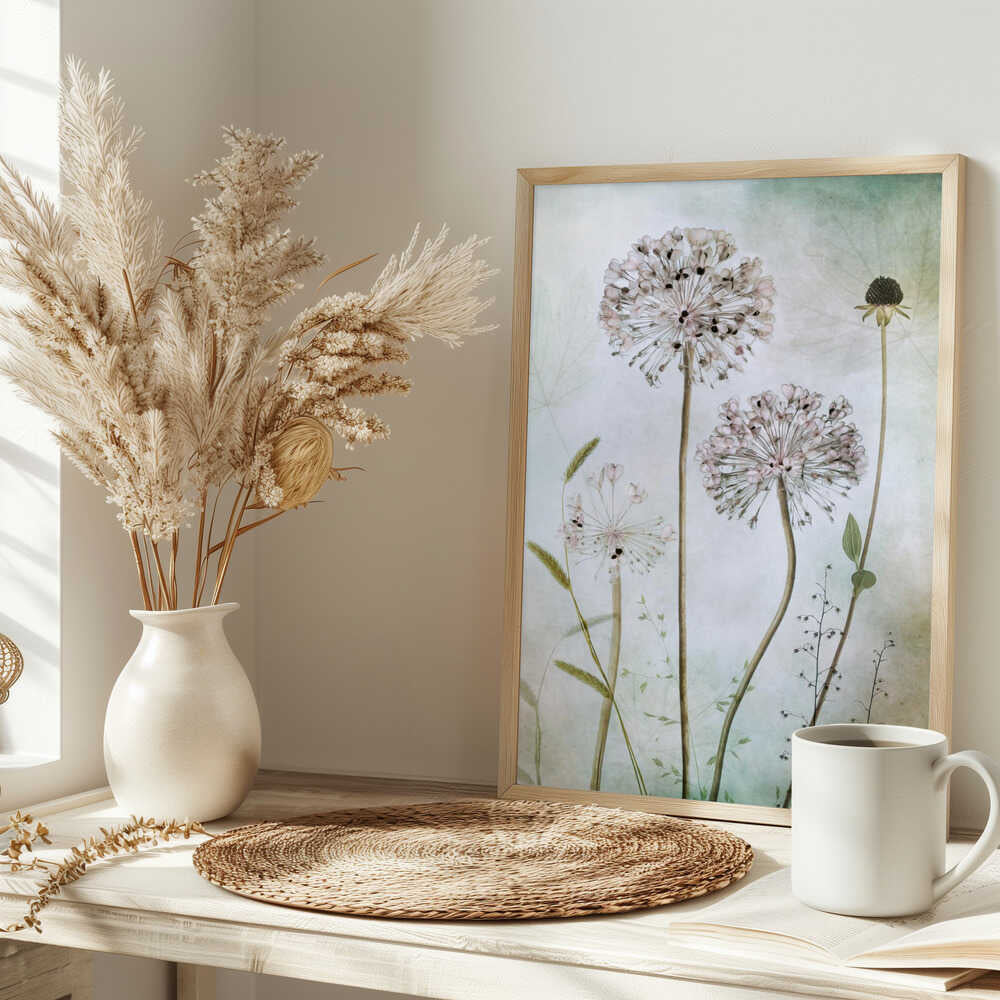 Allium
