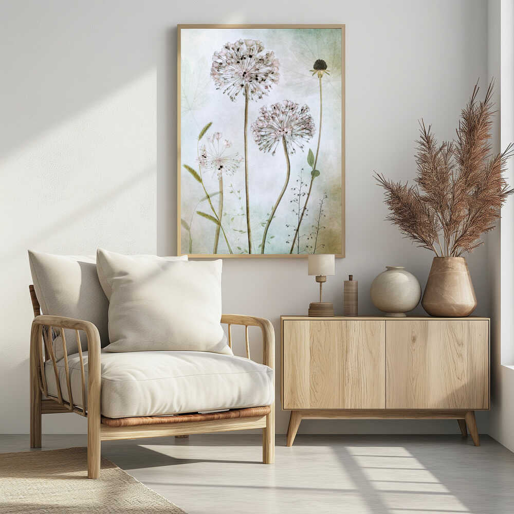 Allium