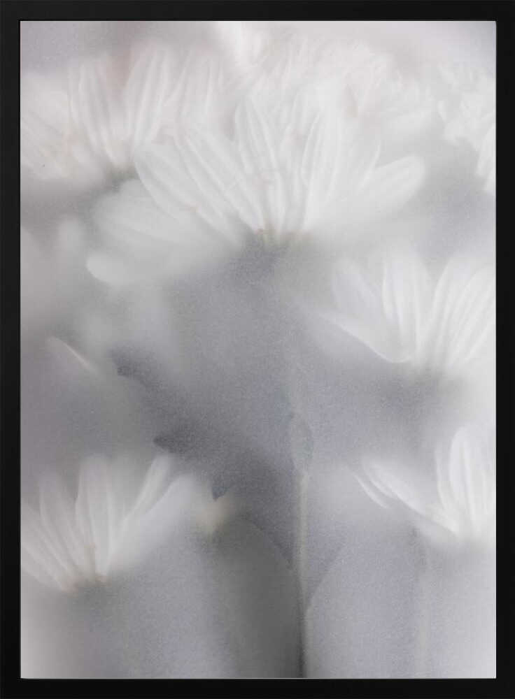 Blurred Flowers 6