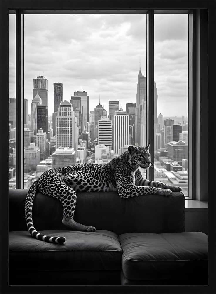 Conceptual Photography (Archives)