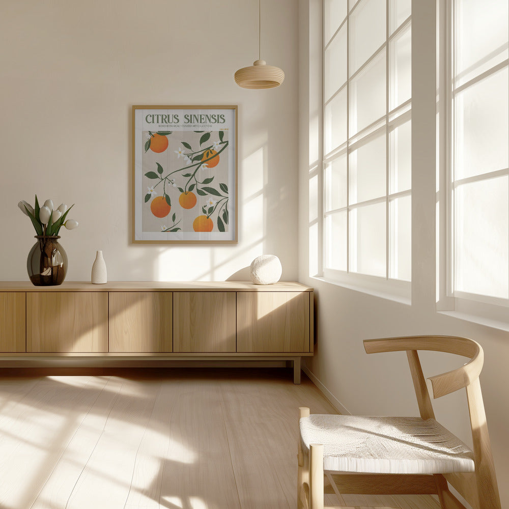 Citrus Sinensis Plakat - plakatstore