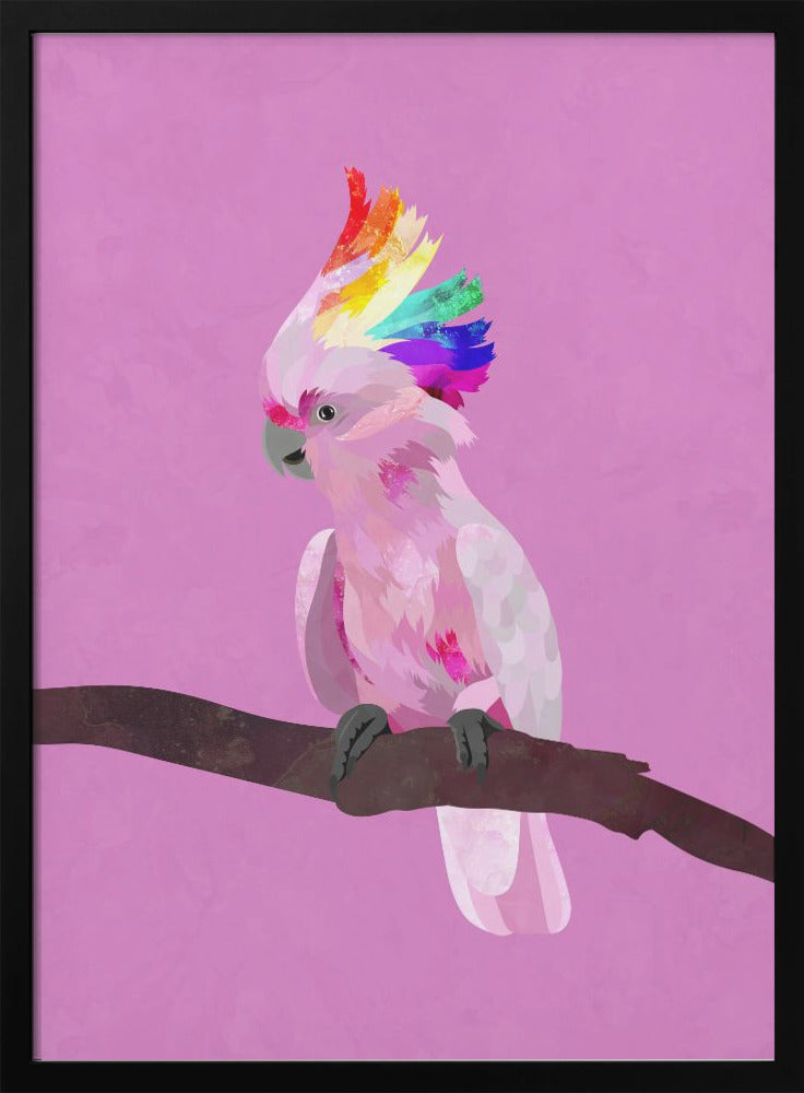 Pride Galah - plakatstore