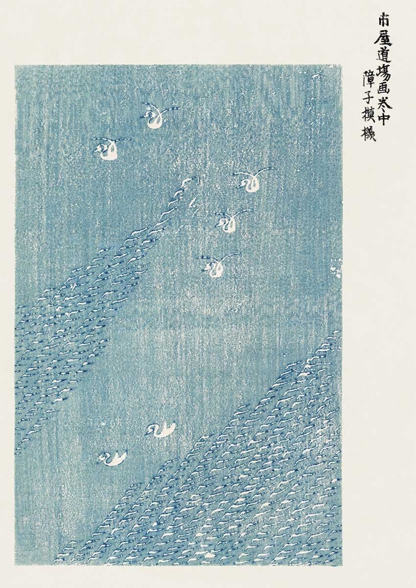 Taguchi Tomoki Plakat