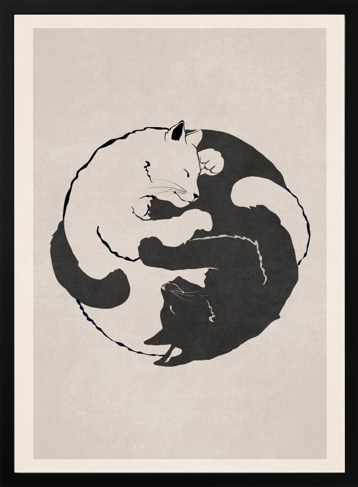 Yin Yang Cats - plakatstore