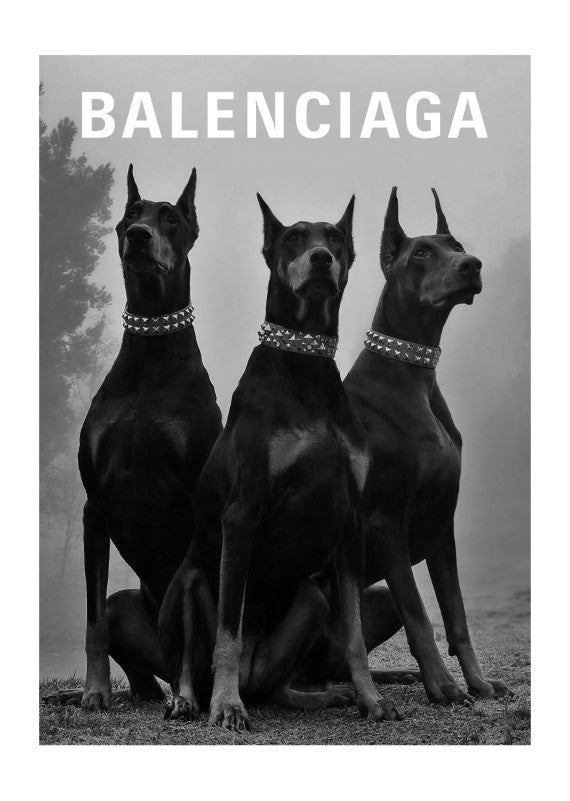Balanciaga Dogs Plakat