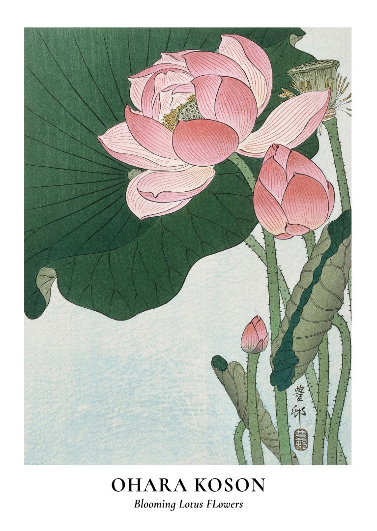 Lotus Flowers Ohara Koson Plakat - plakatstore