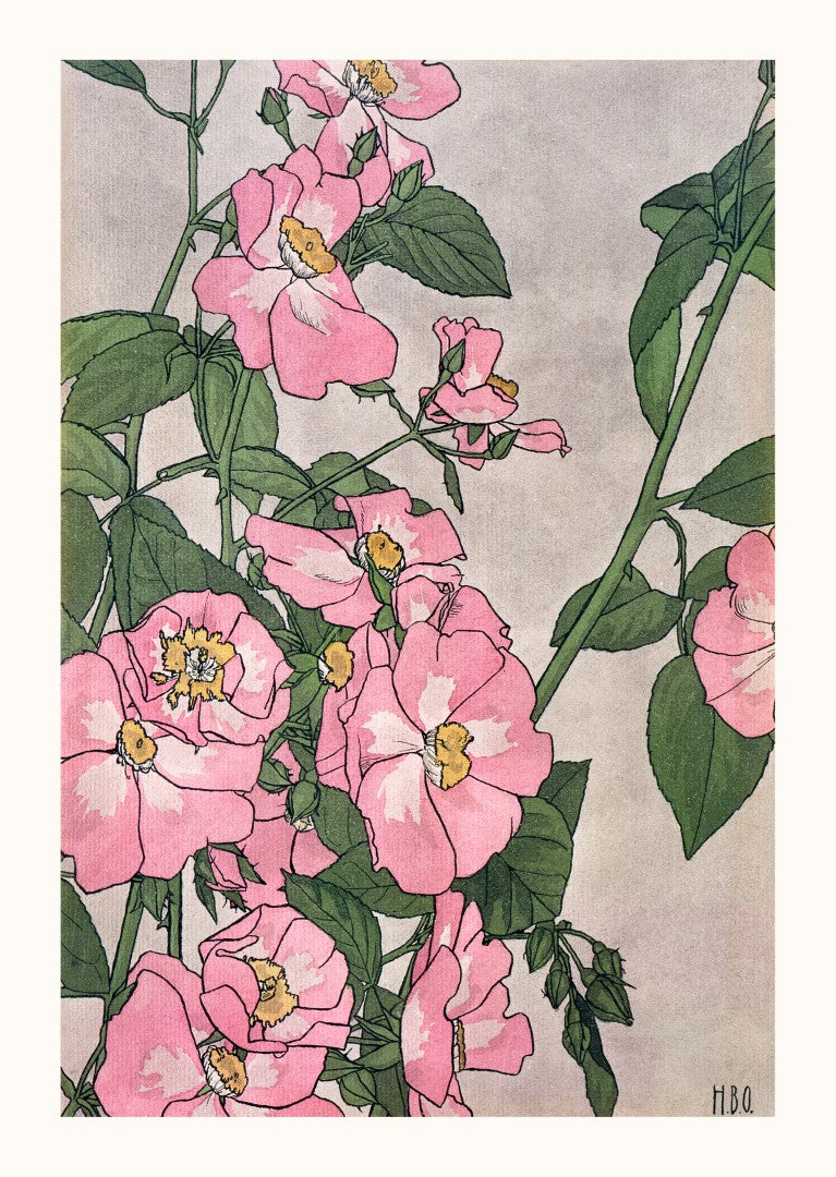 Hannah Overbeck Prairie Rose Plakat