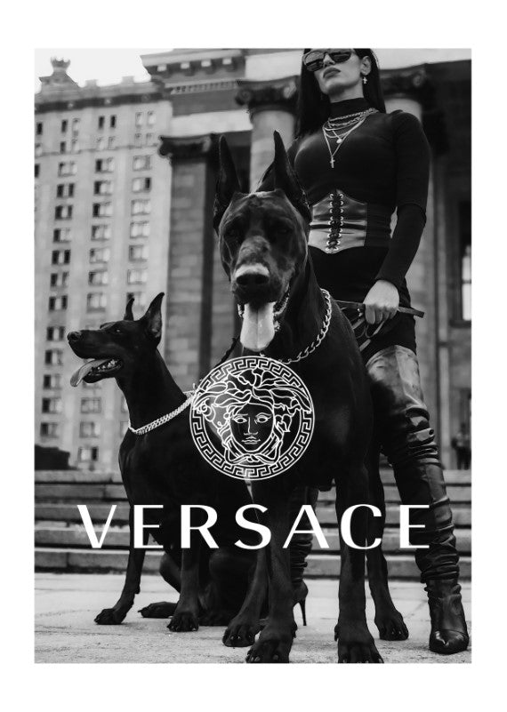 Versace Dogs Plakat - plakatstore