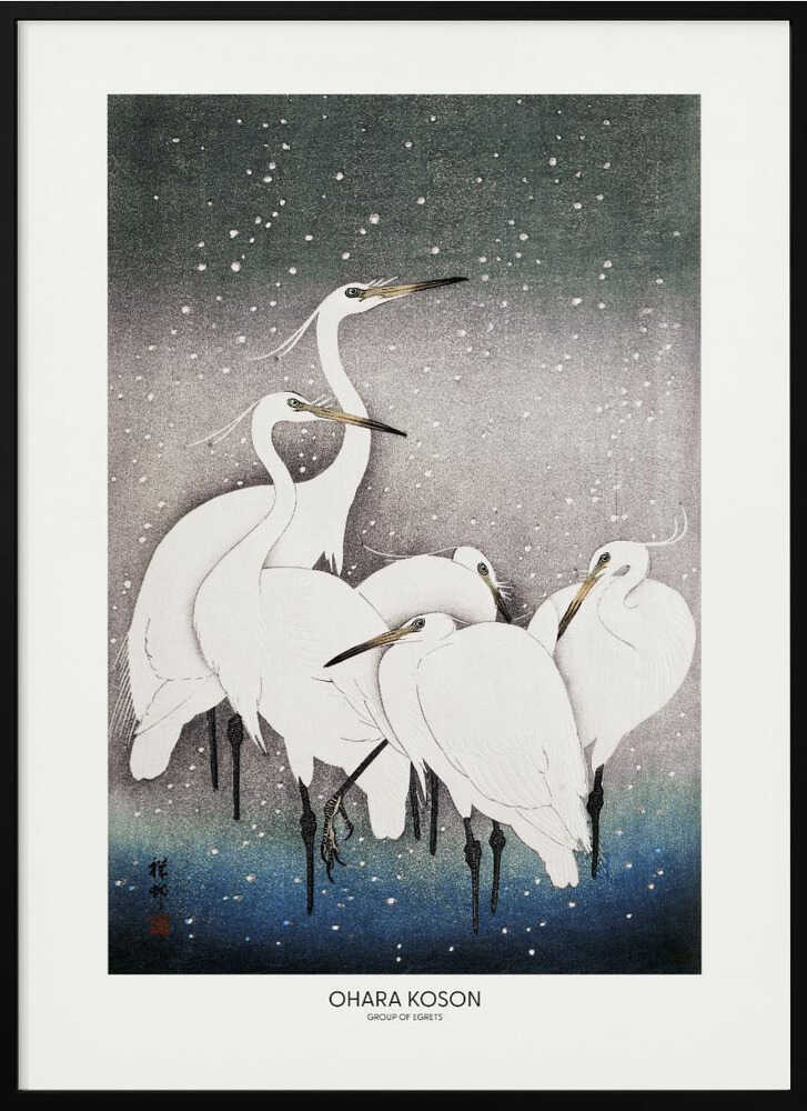 Group Of Egrets