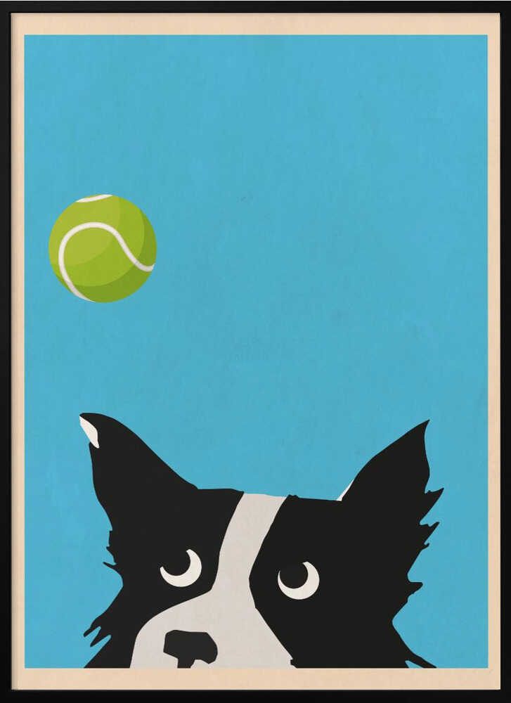 Dog &amp; Ball