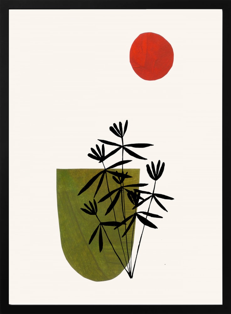 Green Plant Red Sun