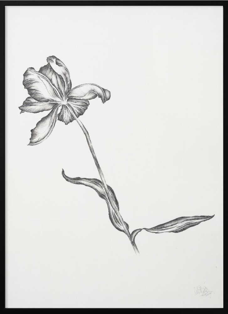 Elegant Floral Drawing