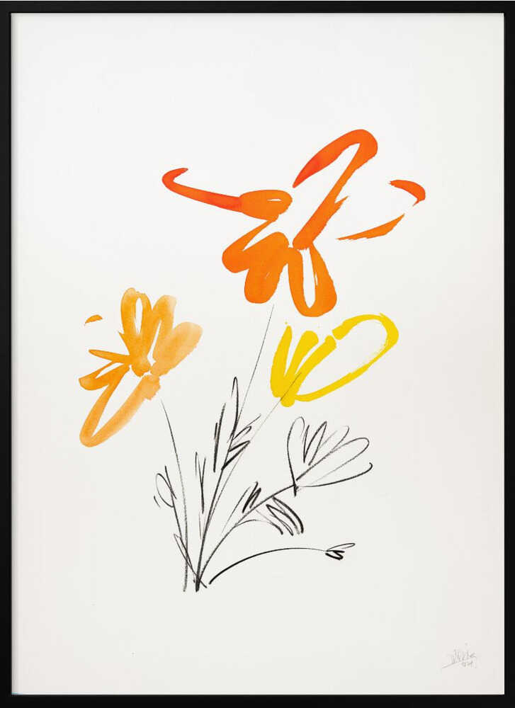 Cheerful Orange Blooms