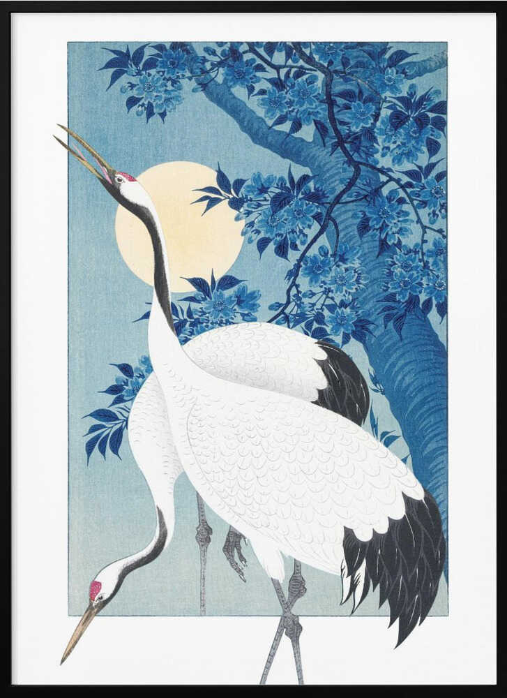 Cranes In a Moonlit Night