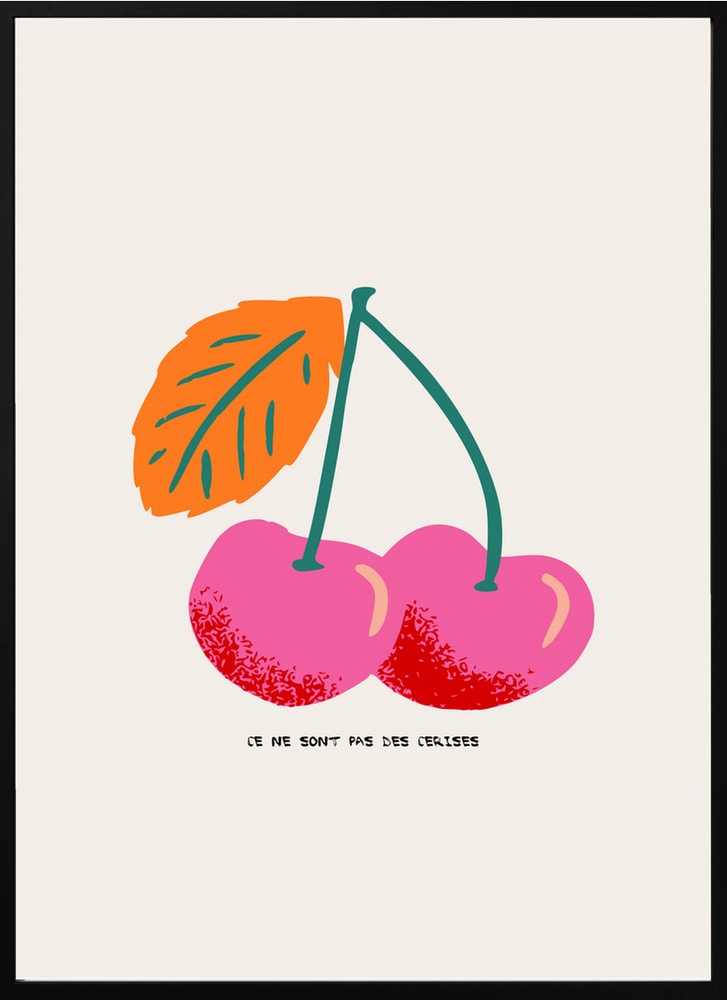 Pink Cherries Illustration
