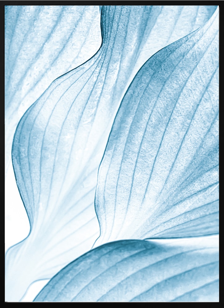Soft Blue Leaves