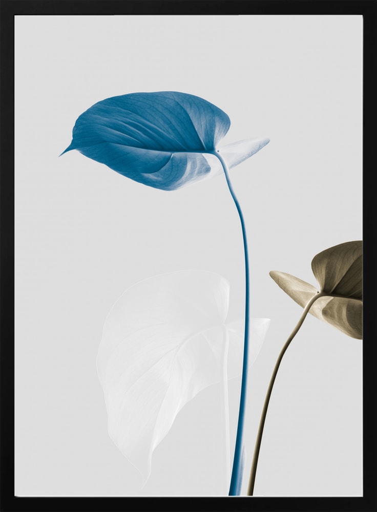 Serene Blue Leaves