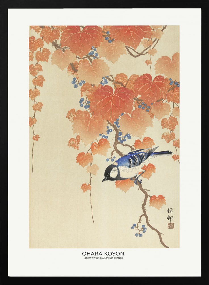 Great Tit On Paulownia Branch