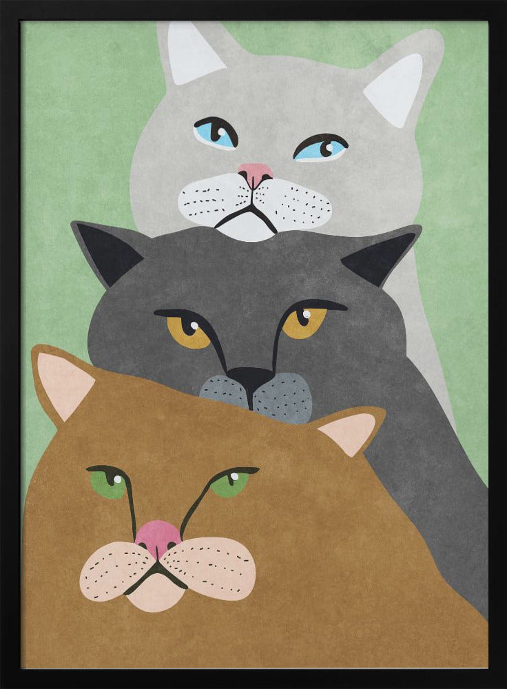 Cat Trio - plakatstore