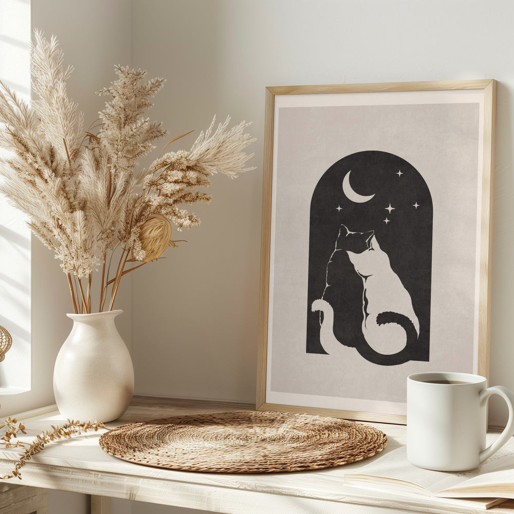 Cats and Stars - plakatstore