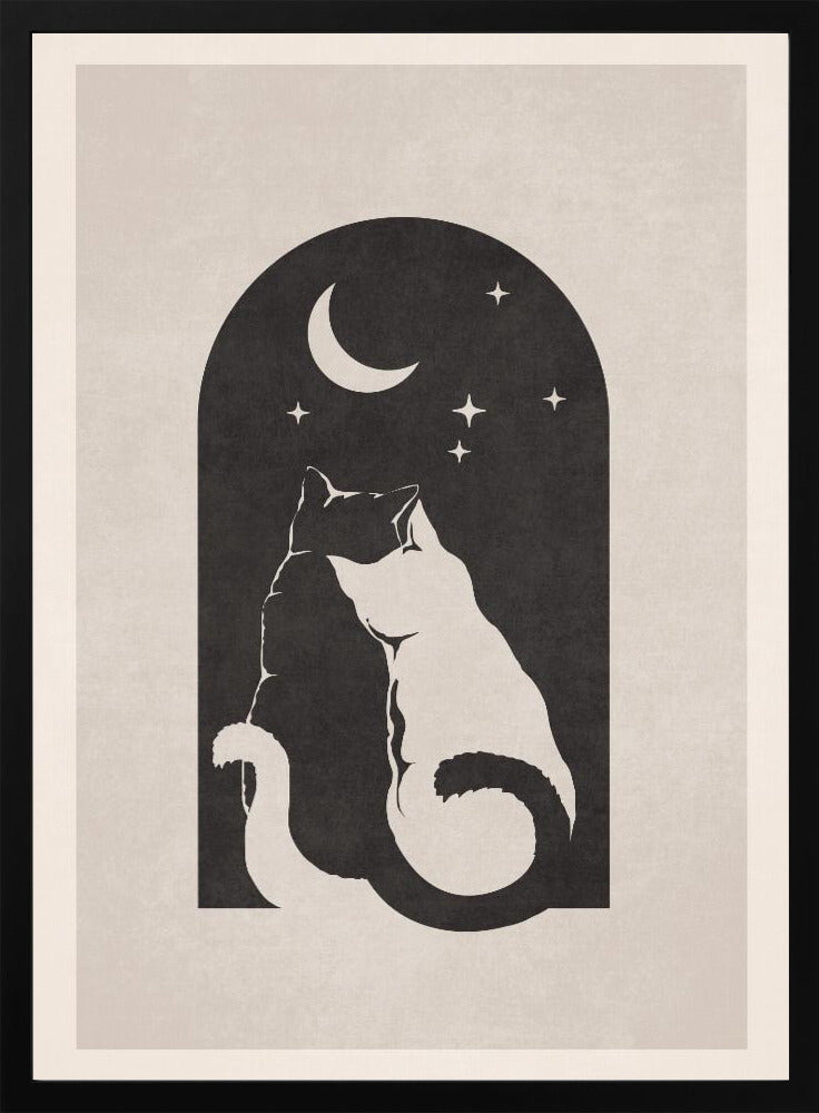 Cats and Stars - plakatstore