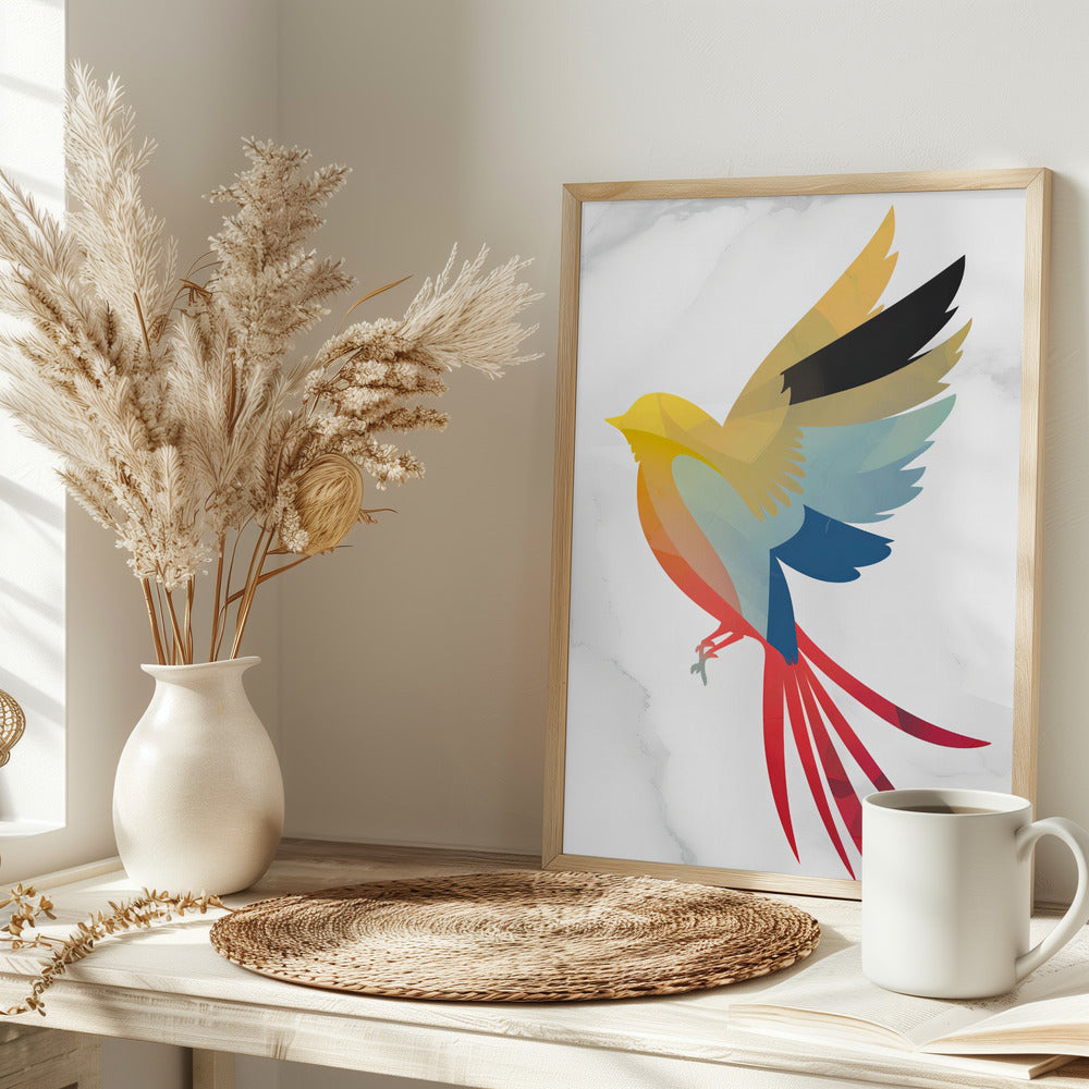 Colorful Bird - plakatstore