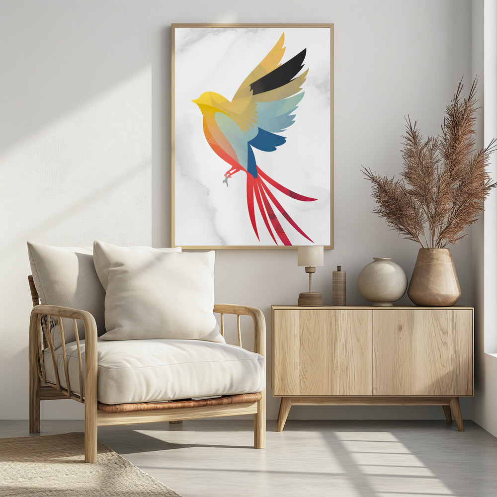 Colorful Bird - plakatstore