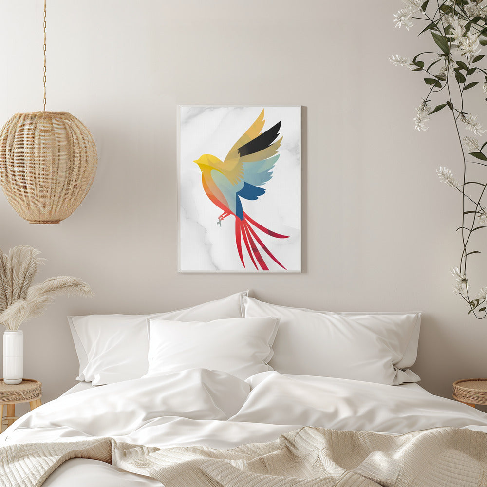 Colorful Bird - plakatstore