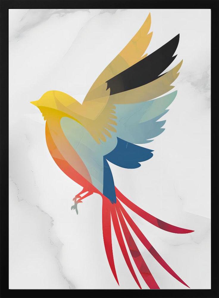 Colorful Bird - plakatstore