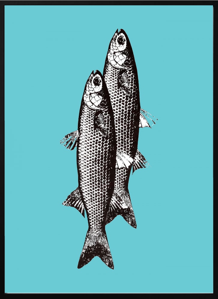 Vintage Fish Duo